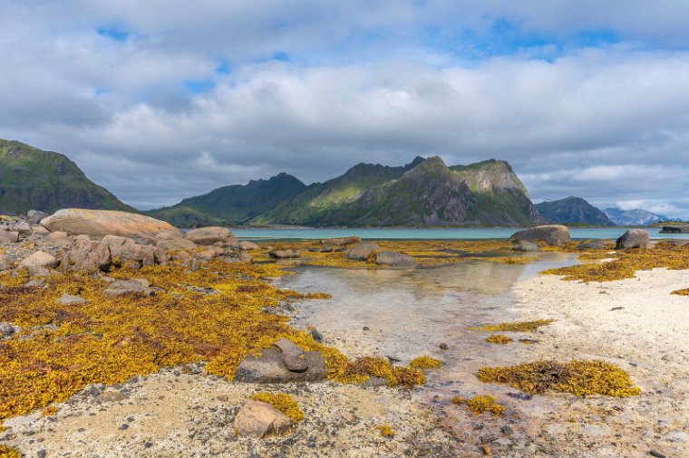 069 Lofoten, Skifjord.jpg